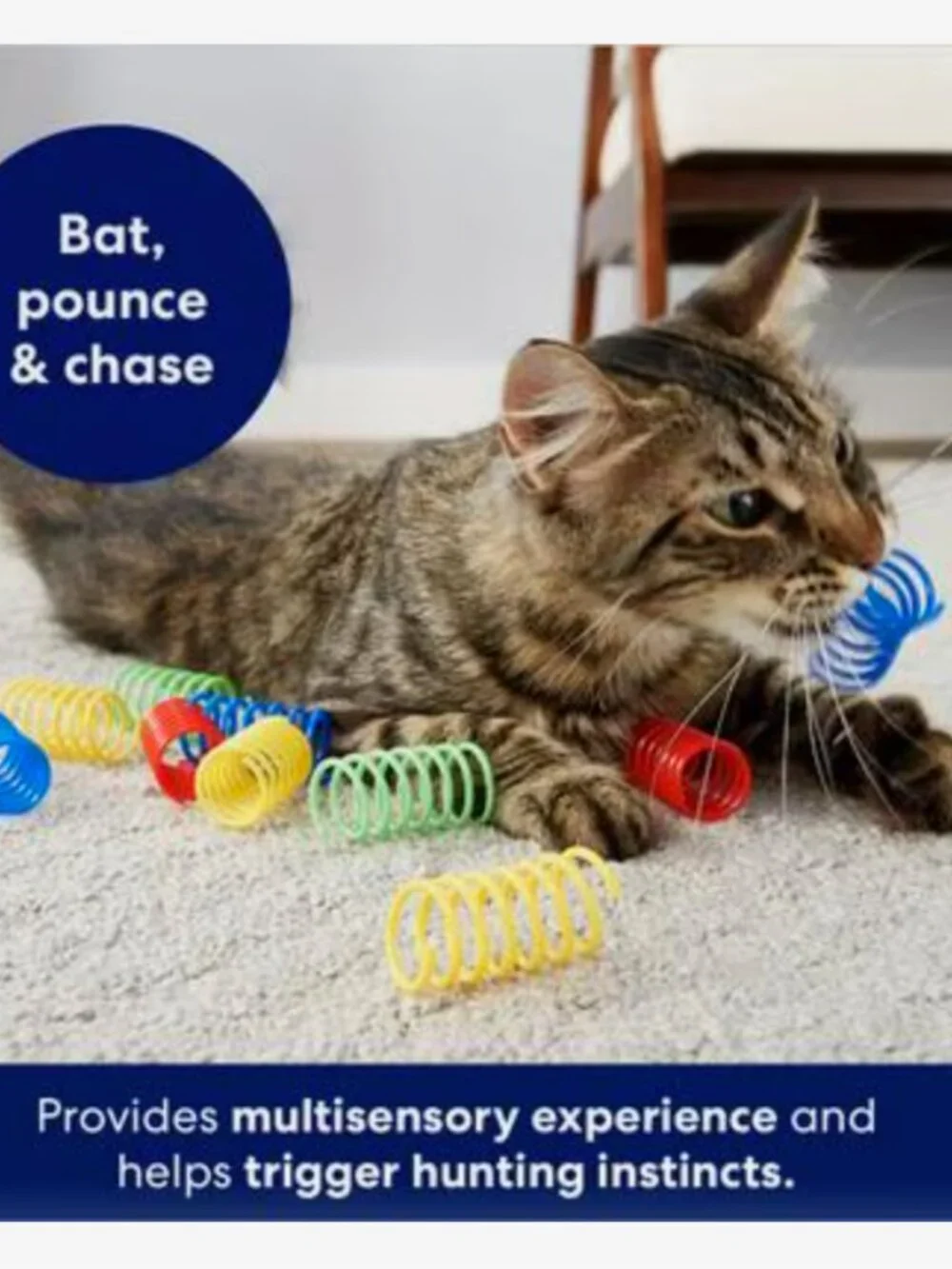 Frisco by Chewy Colorful Springs Cat Toy Pack 10 Count